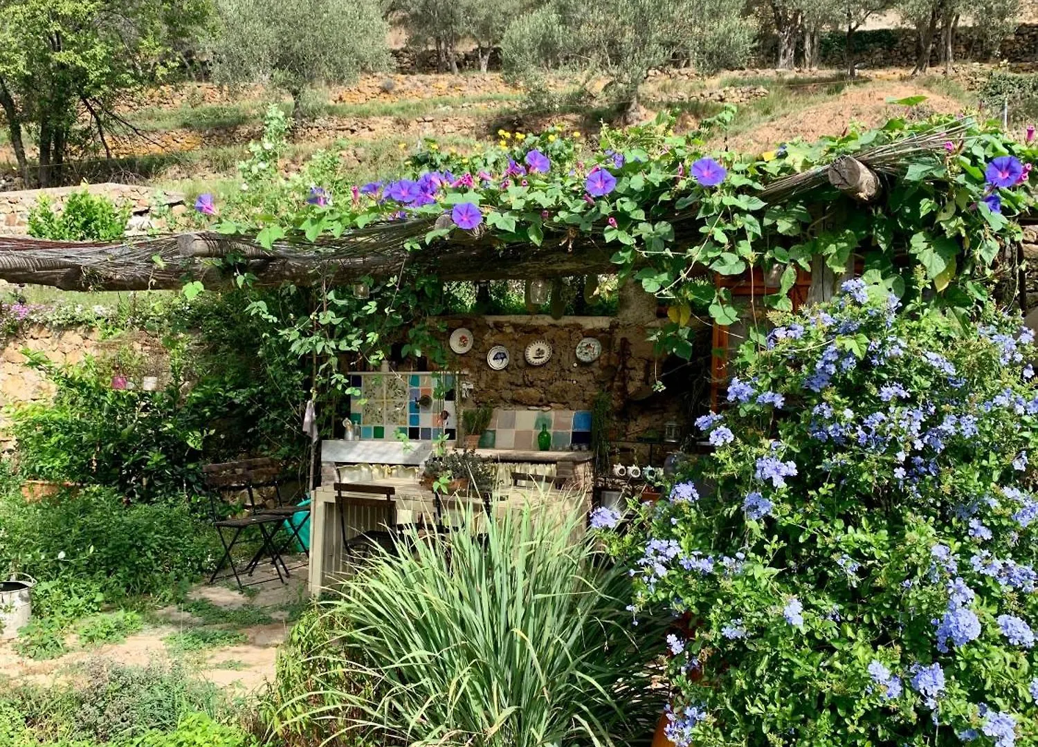 Bed & Breakfast B&B Ca De Badin Noli
