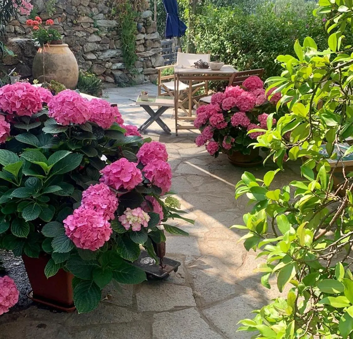 Bed & Breakfast B&B Ca De Badin Noli